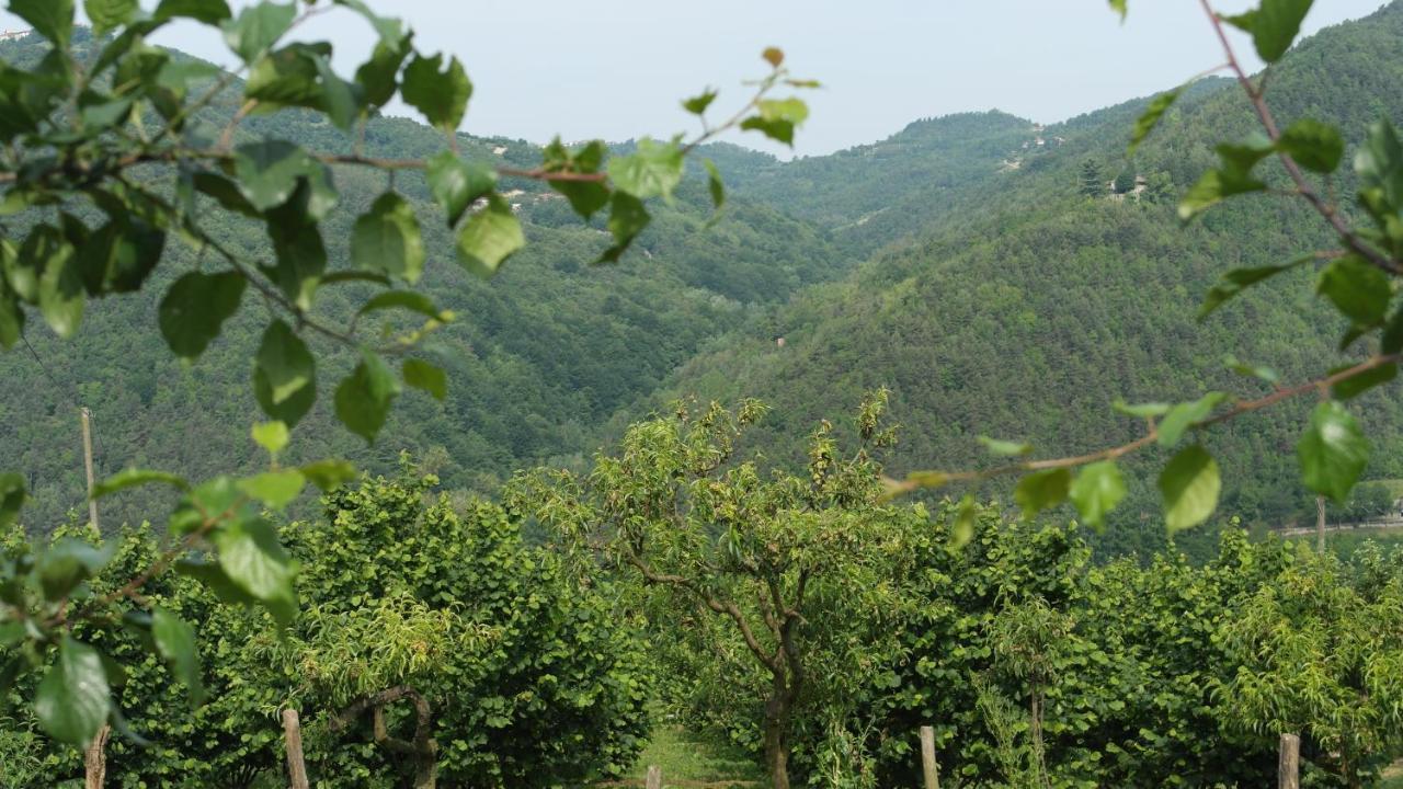BosiaCit Ni住宿加早餐旅馆 外观 照片